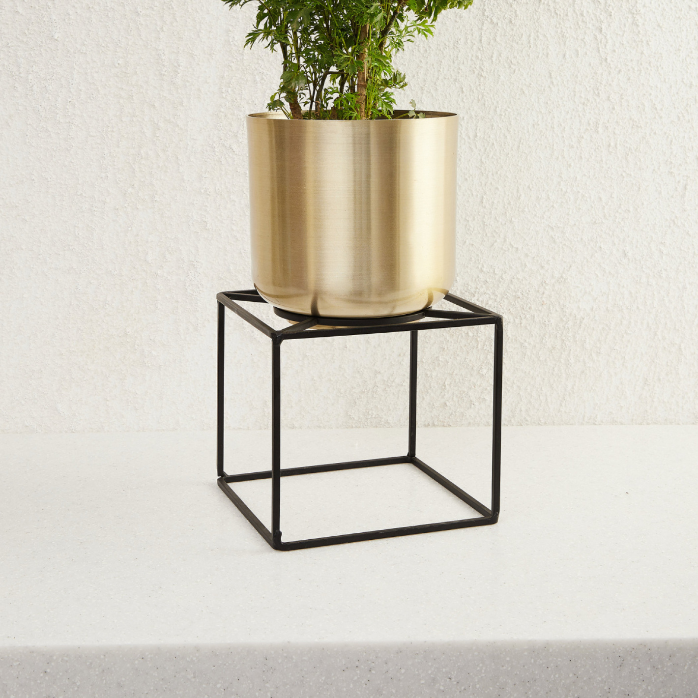 Gold Planter on Cube Wire Stand