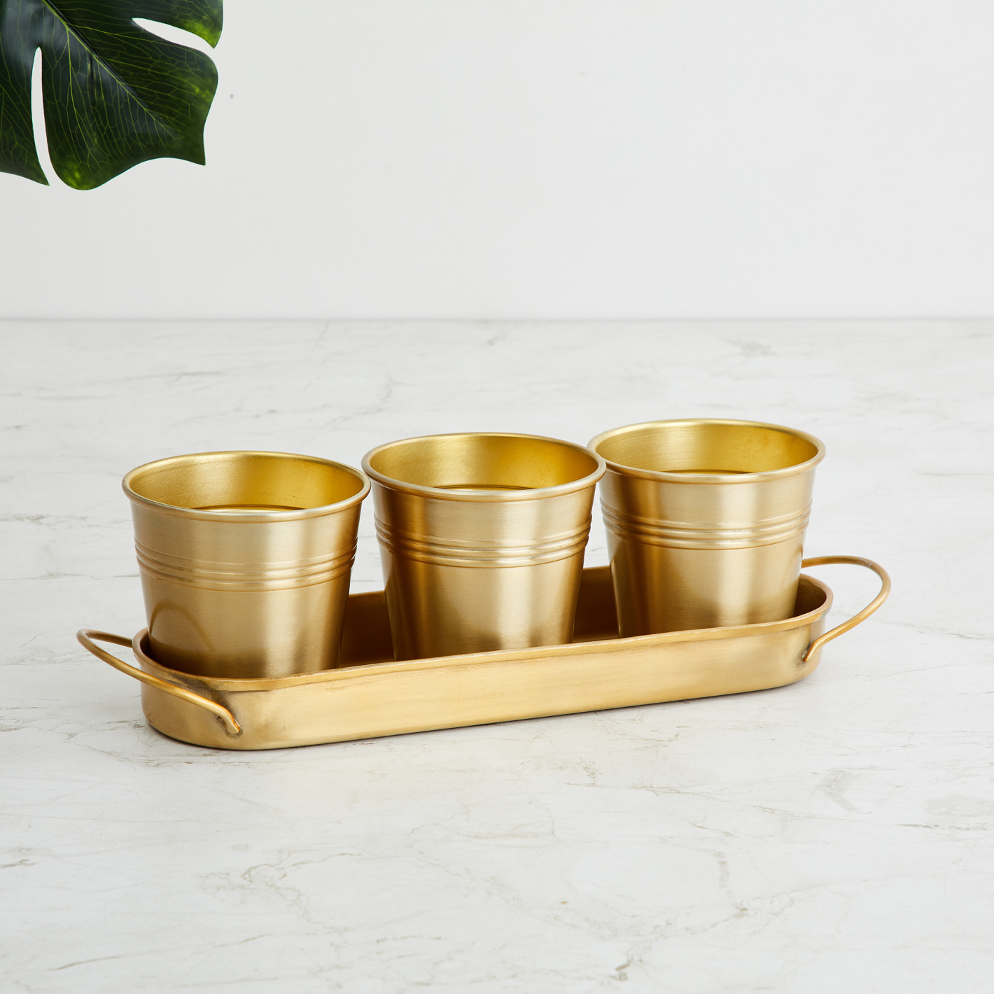 Set of 3 Mini Gold Planters on Tray